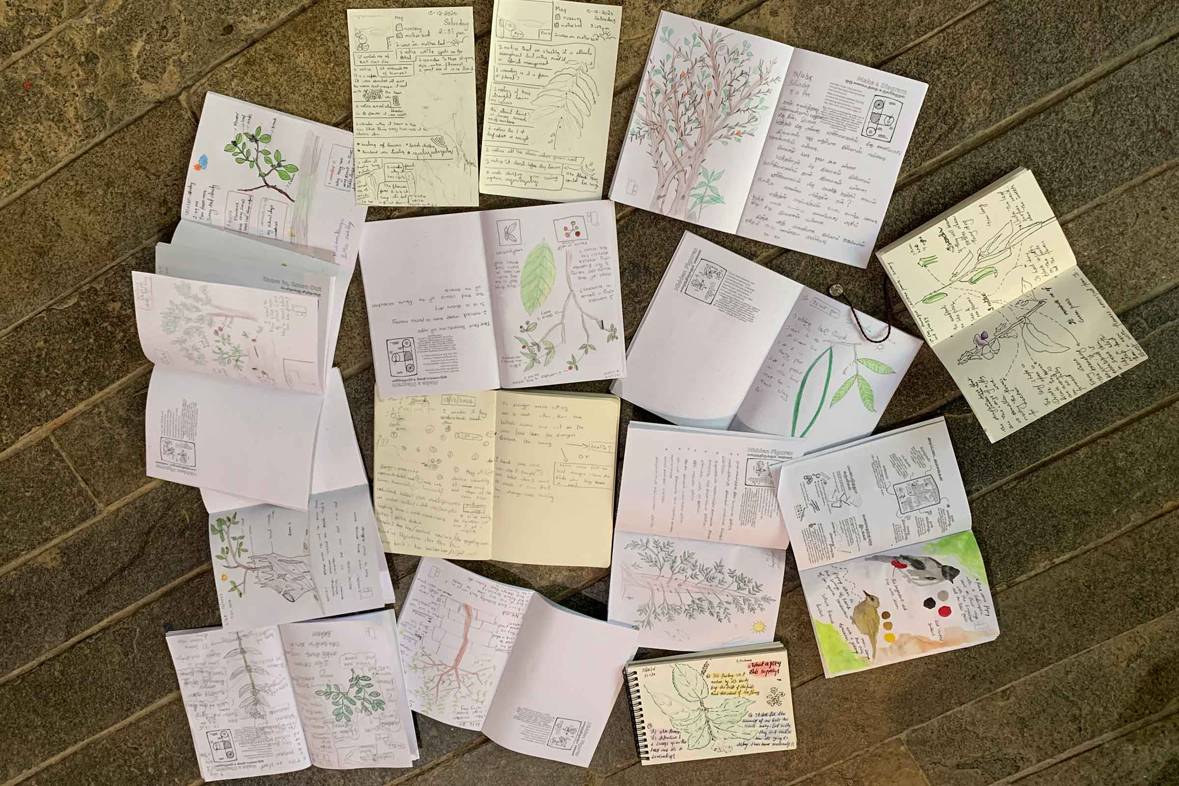 Nature Journaling workshop